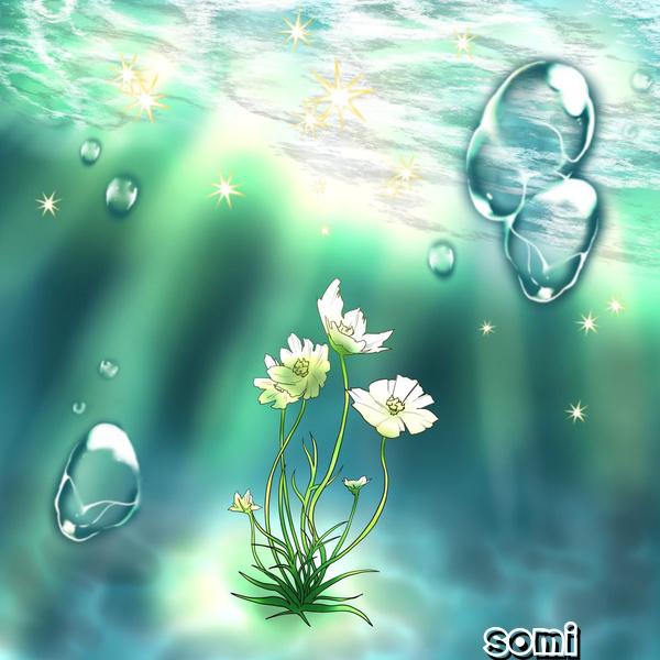 Image Cover